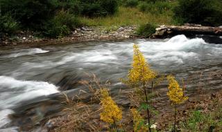 大游年简单的记忆方法 大游年简单的记忆方法